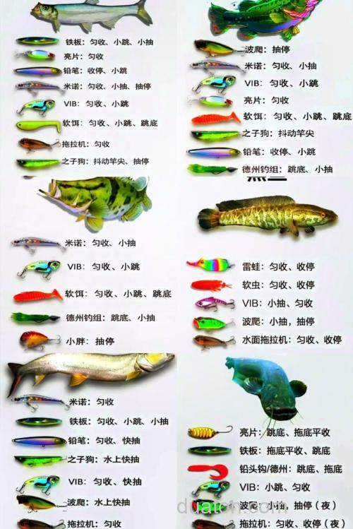 鱼饵品牌排名前10名:钓鱼爱好者的精品之七 熊火路亚鱼饵