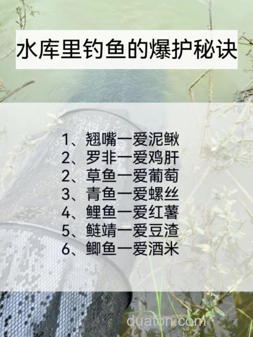 野钓高手透露饵料使用秘诀,爆护没问题
