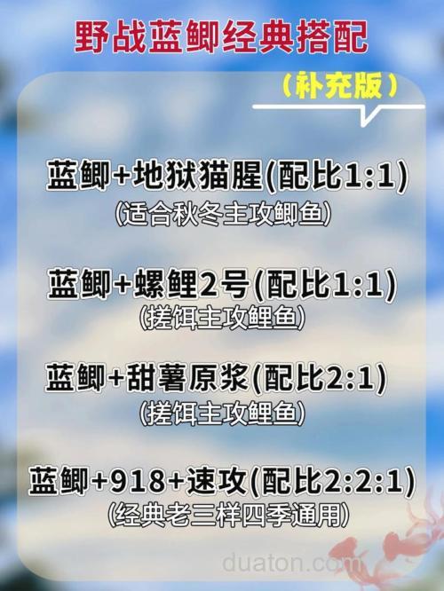 红薯鲤速攻野战蓝鲫怎么配?