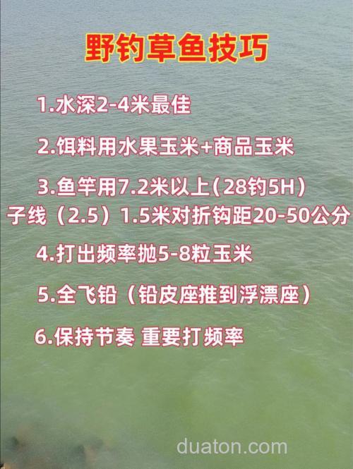 钓草鱼独家经验附窝料配方~