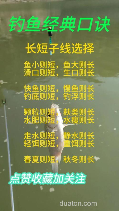 元江台钓技巧揭秘：掌握基本要点与季节策略，快速提升渔获量