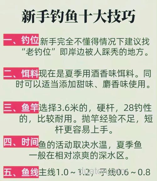 台钓技巧学习如何入门?从挫败到收获,小白进阶真实历程
