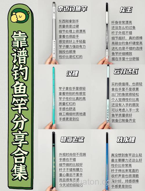 从新手到高手:台钓装备如何选?老张的三斤鲤鱼实战经验分享