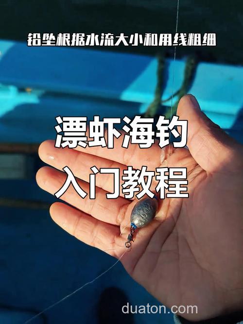 从新手到高手:虾海钓技巧全解析,避开弯路快速掌握诀窍