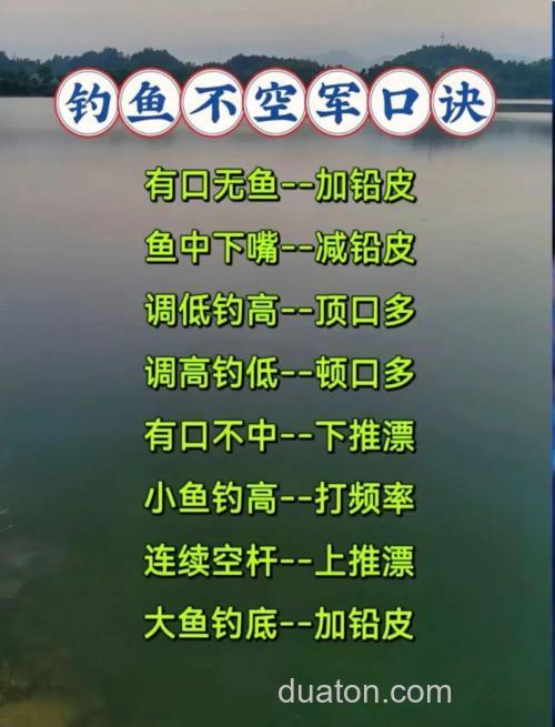 从脱钩到爆护!海钓沙钻鱼秘诀大公开:老钓友的蜕变之路