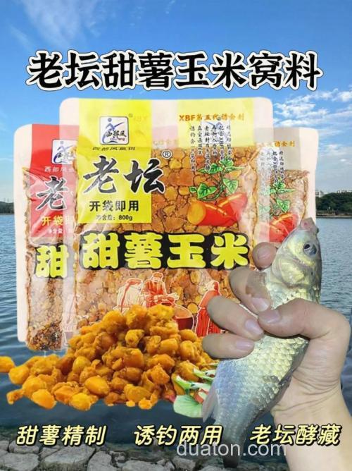 甜薯嫩玉米钓大鲫鱼管用吗?