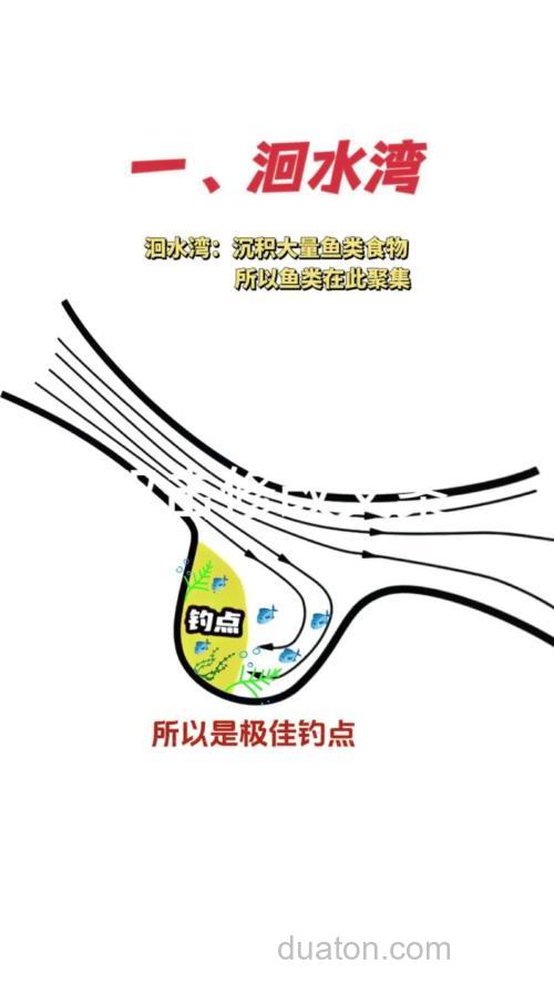 台钓新手如何选择钓点？阿斌的野钓经验分享，助你少走弯路