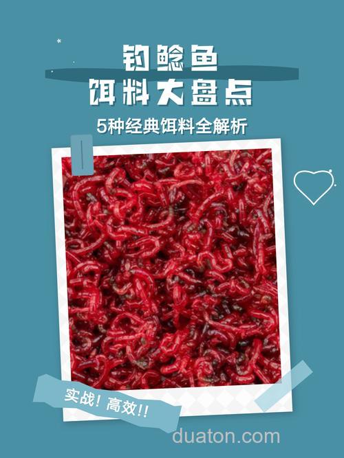 串钩钓鲶鱼饵料？