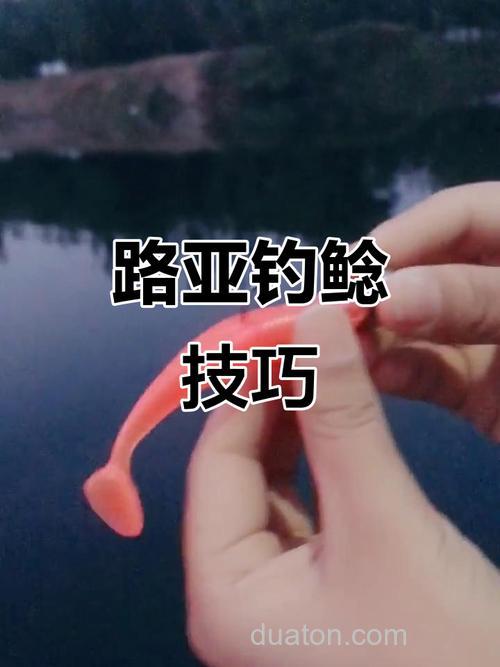 浑水路亚钓鲶鱼用什么饵最好?