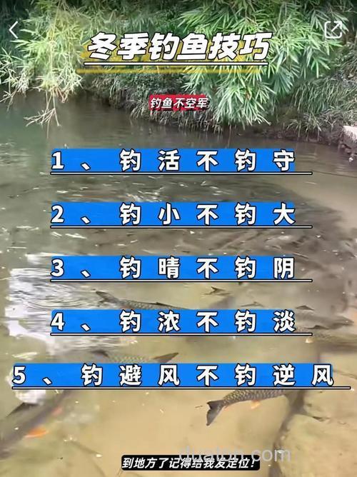 秋末钓鱼冷门技巧曝光，颠覆传统经验，渔获翻倍不是梦