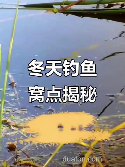 冬天鱼窝一般在哪里？