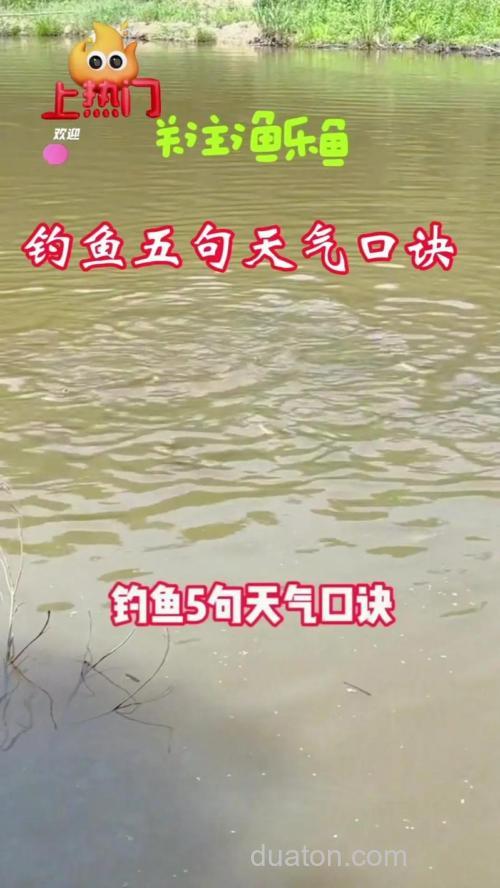 怎样的天气适合钓鱼？