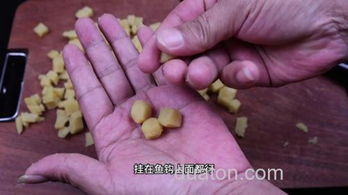 鼋萄悠蹈咔如何用红薯钓鱼 钓鱼搓饵