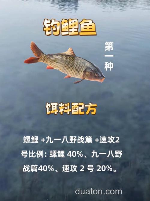 荒食怎么搭配钓鲤鱼