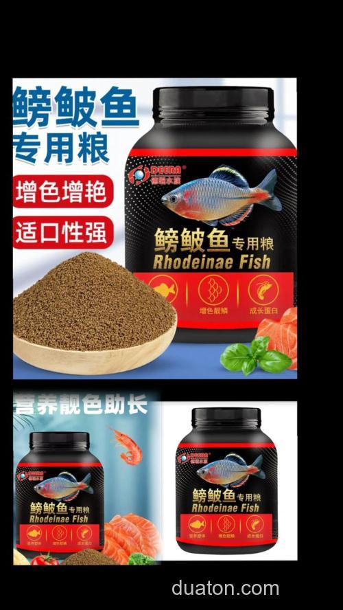 鳑鲏麦穗等杂鱼用啥饵料?