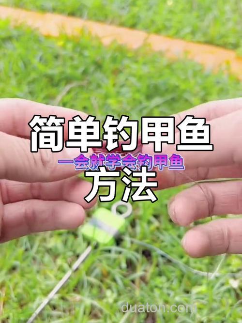 北方黄河沿岸的野生鳖怎么钓呢?