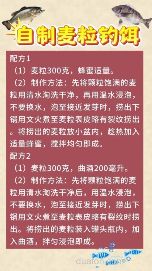 怎么用小麦做钓饵