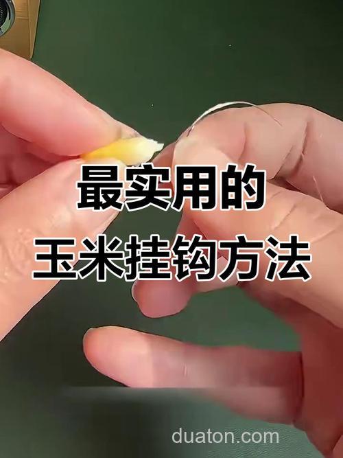 玉米籽怎么钓鱼