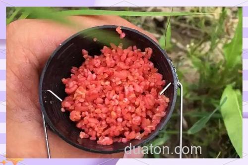 丁香酒米窝料制作方法?