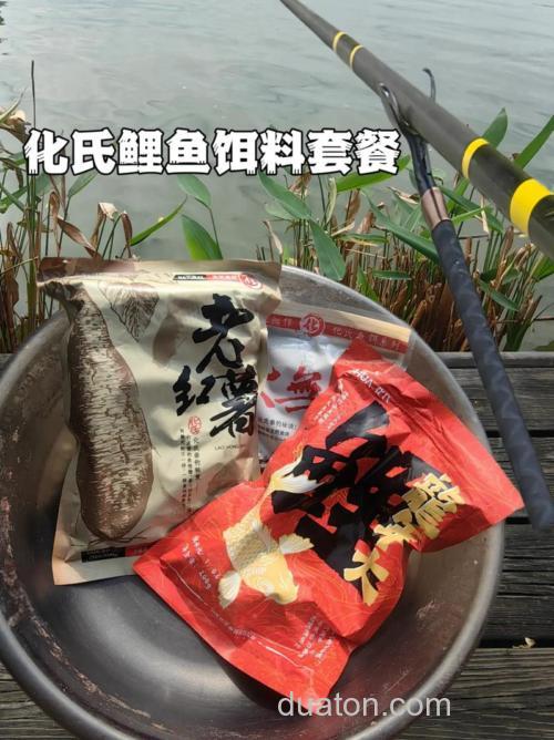 冬季大棚钓鲤鱼用什么食
