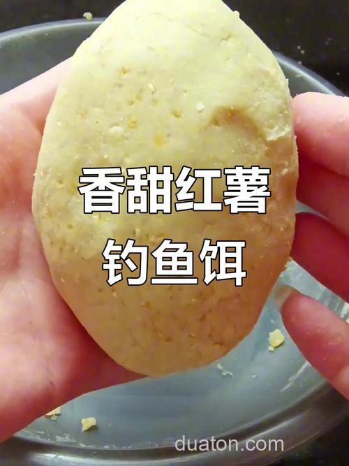 用红薯自制鲢鳙饵料？
