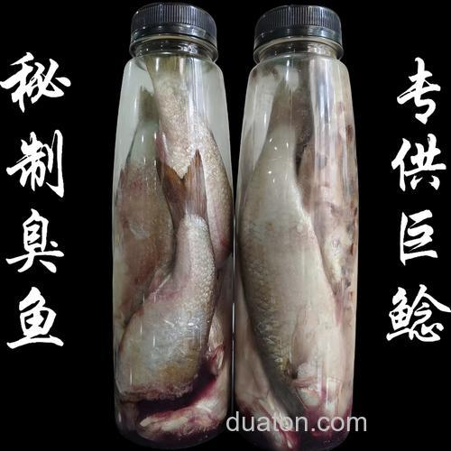 钓鲶鱼的臭鱼饵？