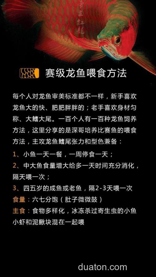 龙王恨鱼开胃的正确使用方法?