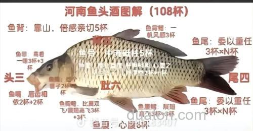 中原鲤狂上水比例？